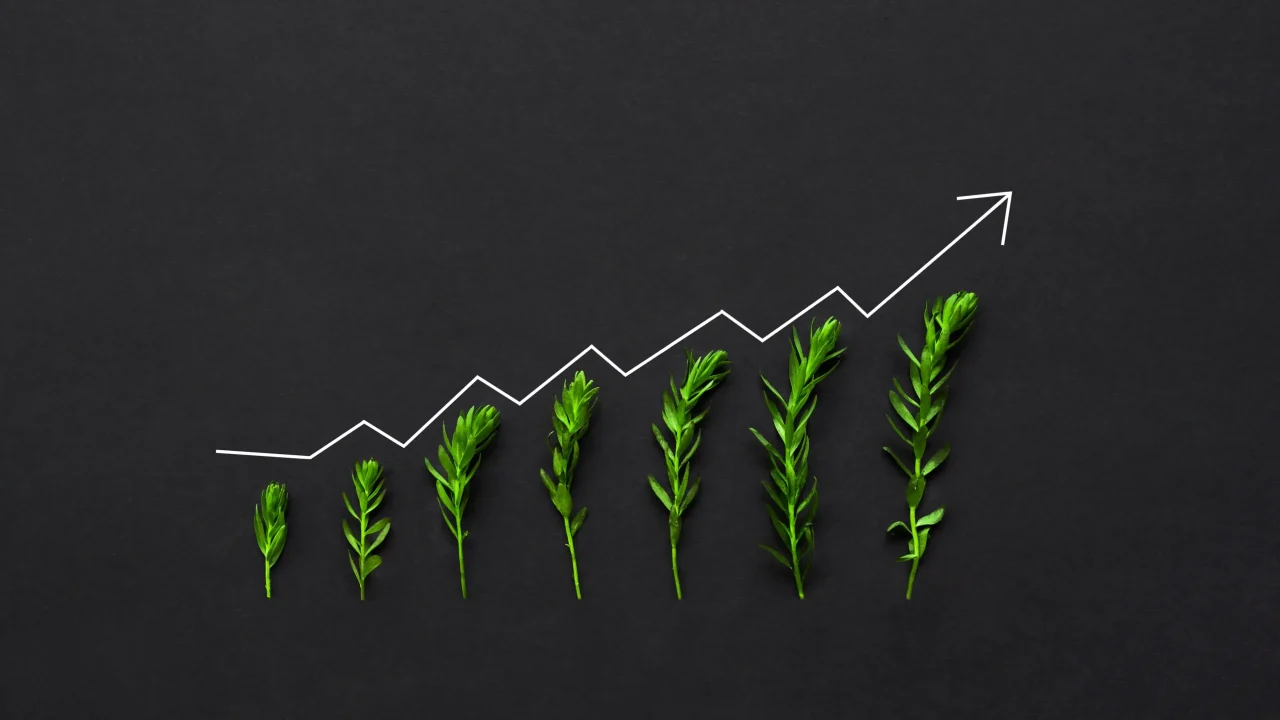 business-growth-2024-09-12-10-33-25-utc